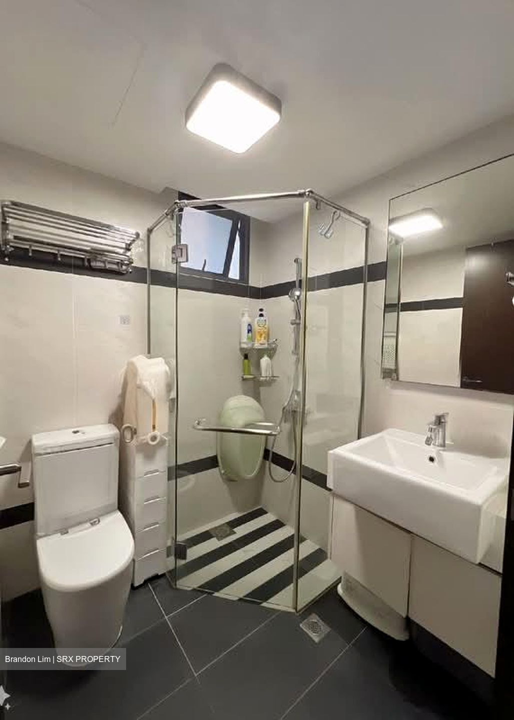 Symphony Suites (D27), Condominium #579114981